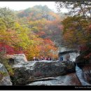 파주 감악산 (675m)단풍 축제 산행 ,국내 최장 출렁다리 .최근개통 이미지