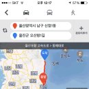 와일드피싱 이미지