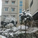 다조아건강쎈타 이미지