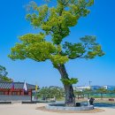 화서공원 이미지