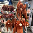 전주 객사 염통꼬치, 전주 한옥마을 등등