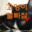 가람동물병원 - 나주시 배멧1길 40 | 가람동물병원