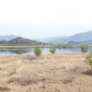 낙동강변27 이미지