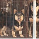 행진농장 이미지