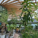 여울카페 | 여울농원카페 논산 탑정호 감성 여행지 후기