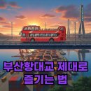 종합진입로 | 부산항대교 드라이브, 최고의 전망대 진입로 코스는 따로 있어요!