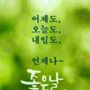 1409 Daum카페
