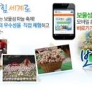 보물섬마늘나라 이미지