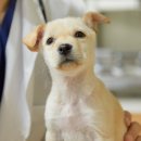 (주)비트러스트메디텍 이미지