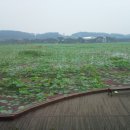 회산백련지 수상유리온실 이미지