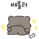 별빛사냥 이미지