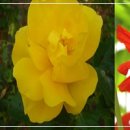 영렘브란트 미술학원 이미지