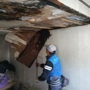 블랙밸리 컨트리클럽 이미지