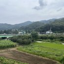 호야커피빵 이미지