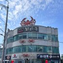 하봉석 대게·
회(환호동점) 이미지