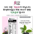 이화드림