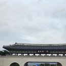 노랗노랗