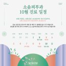 소솜피부과 - 수원시 팔달구 | 소솜피부과