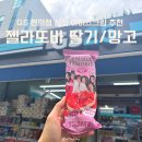 맛젤라 | [GS25 신상] 요새 핫한 GS25 편의점 젤라또바 딸기맛 & 망고맛 내돈내산 솔직후기!