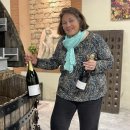샴페인 데보르드-아미오 프리미에 크뤼 브뤼 밀레짐(Champagne Desbordes-Amiaud Premier Cru Brut...