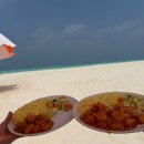 박차돈 | [몰디브#8] 카니 난파선투어 후기 / 점심 / 돌고래왓칭 / 스팅레이피딩 / 널스샤크