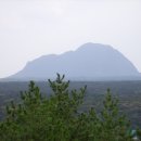 오름 Daum카페