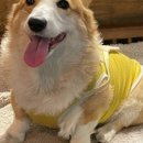 소풍가는날 이미지