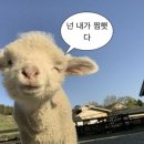 위드쿠키 이미지