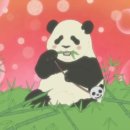 주식회사 하나 이미지