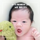 D-19 | D+19 메리베이비 검단 뉴본촬영 후기(2025.8.22.)