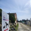 실왕길 | 안성카페_멍필드