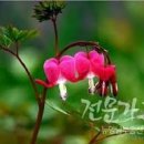 위례비타민부동산공인중개사사무소 네이버블로그