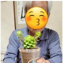 드림재가복지센타 | 울산재가복지 드림재가노인복지센터와 함께한 따뜻한 돌봄 경험