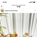 소가화