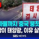 태양라이브