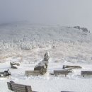 1월 15일(화)[ 07:00 출발] 전남 광주 국립공원 무등산(해발1,187m) 새인봉 눈꽃산행 이미지