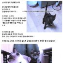 예빛파출넷 이미지