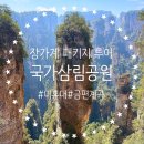 (주)삼림 | 중국 장가계 국가삼림공원 아바타 촬영지 백룡엘리베이터 십리화랑 까지