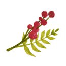 눈을맞추다&렌즈미 이미지