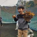 펀 태권도장 | 🌳 자연 속에서 신나게 뛰어놀다! #자연 #동두천 #놀자 숲#테마파크 체험기 🌳