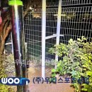 장학초등학교 이미지