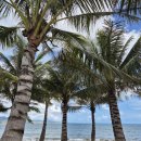 건희목장 | 나트랑 2박3일 여행 일정 / 도깨비 판랑단독투어 후기 / 하이디라오 저녁