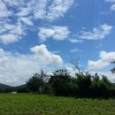 무량농장 이미지