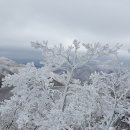 2024.2.26(월) 서경방출석글(끊어지지 않는 인연) 이미지