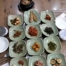 산애들