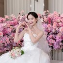 디어로열 | 로얄파크컨벤션 파크홀 본식 후기 [아이폰스냅/마이디어스냅]
