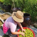 시골청과 이미지