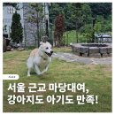마당 | 서울 근교 마당대여 평택 노을마당 강아지운동장 후기