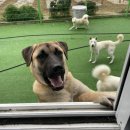 원브리스 이미지