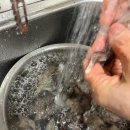 청년수산 | [여수 새조개] 여수 청년 수산 | 여수 새조개 구매 찐 후기 (새조개 택배, 내돈내산)